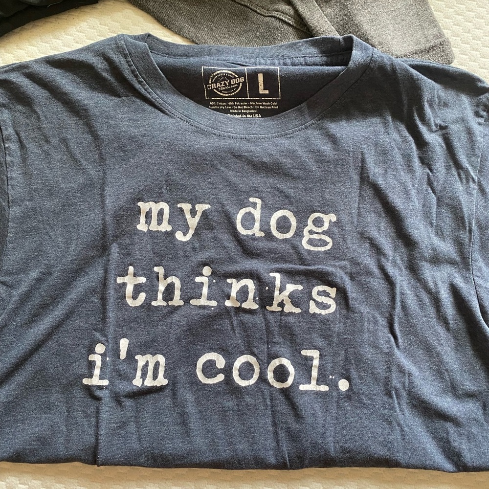 Gray t shirt